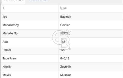 İZMİR BAYINDIR'DA YATIRIM FIRSATI ZEYTİNLİK