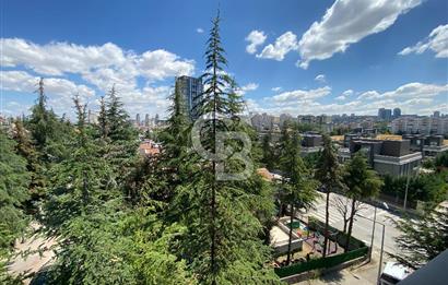 Park Caddesi'nde Prestijli Konumda, Teraslı ve Geniş Kiralık Ofis