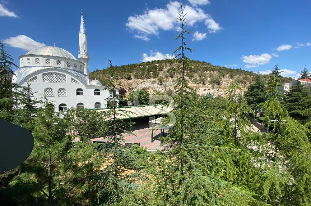 Park Caddesi'nde Prestijli Konumda, Teraslı ve Geniş Kiralık Ofis
