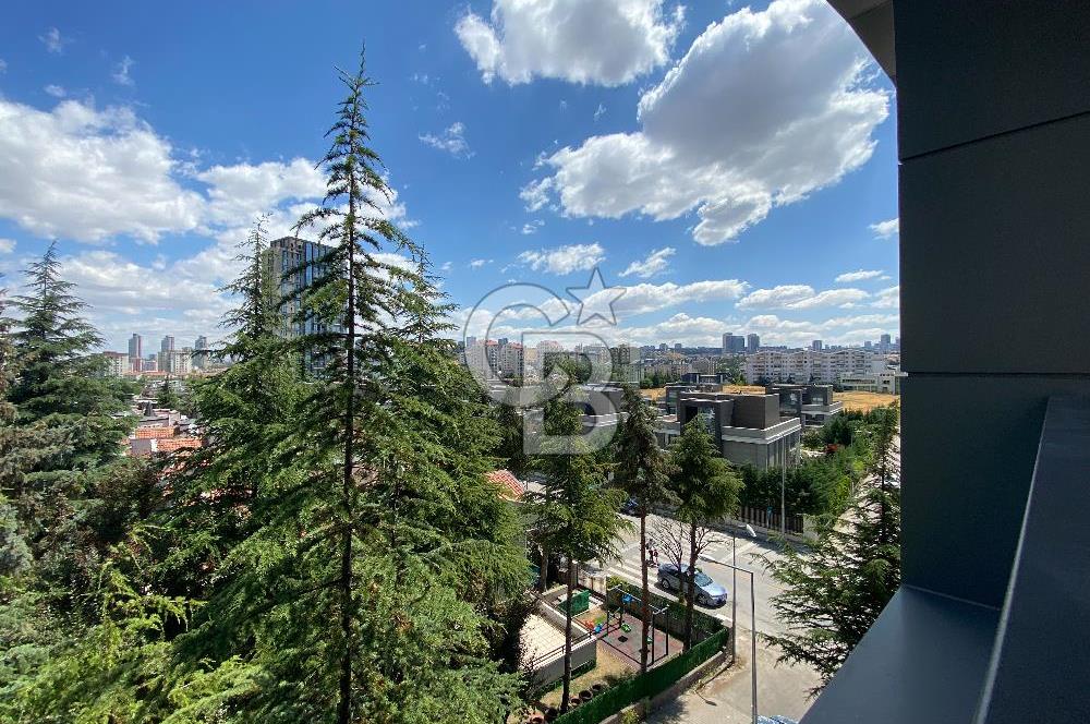 Park Caddesi'nde Prestijli Konumda, Teraslı ve Geniş Kiralık Ofis