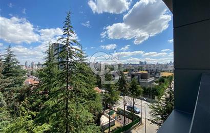 Park Caddesi'nde Prestijli Konumda, Teraslı ve Geniş Kiralık Ofis
