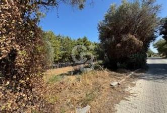 Urla Yenikent Mahallesi anayola yakın tarla