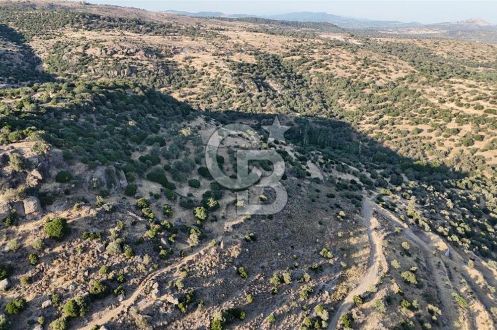 ASSOS'UN İNCİSİ BEKTAŞTA 3 TAPU TEK FİYAT AÇIKLAMAYI OKUYUNUZ !!
