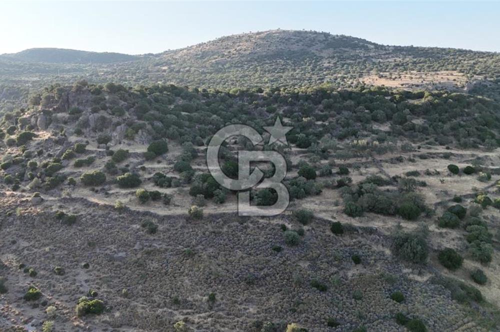 ASSOS'UN İNCİSİ BEKTAŞTA 3 TAPU TEK FİYAT AÇIKLAMAYI OKUYUNUZ !!