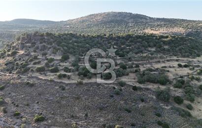 ASSOS'UN İNCİSİ BEKTAŞTA 3 TAPU TEK FİYAT AÇIKLAMAYI OKUYUNUZ !!