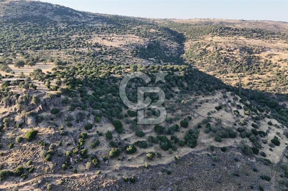 ASSOS'UN İNCİSİ BEKTAŞTA 3 TAPU TEK FİYAT AÇIKLAMAYI OKUYUNUZ !!