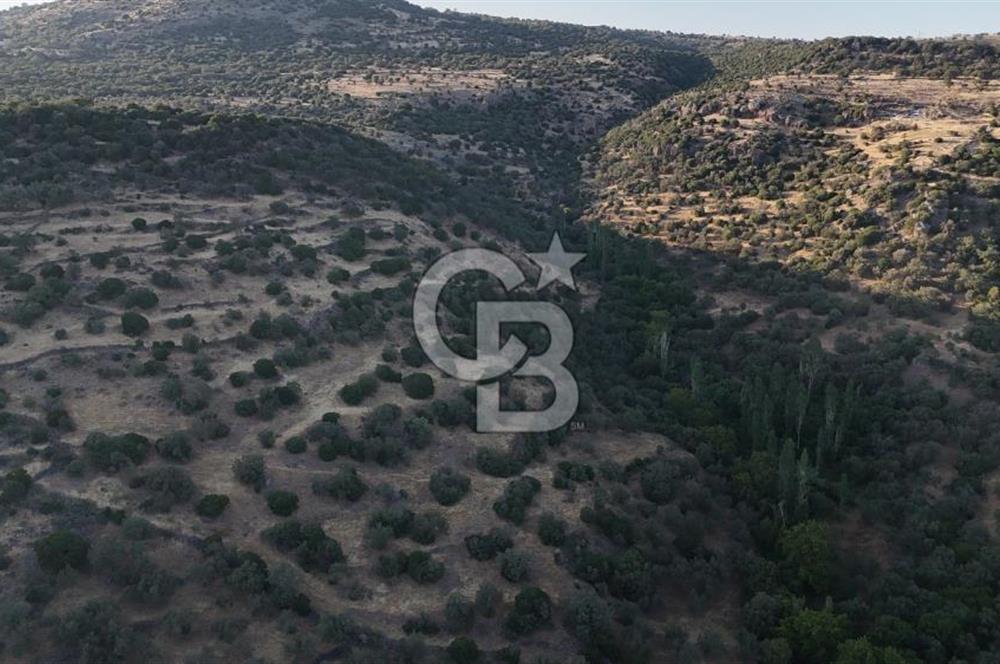 ASSOS'UN İNCİSİ BEKTAŞTA 3 TAPU TEK FİYAT AÇIKLAMAYI OKUYUNUZ !!