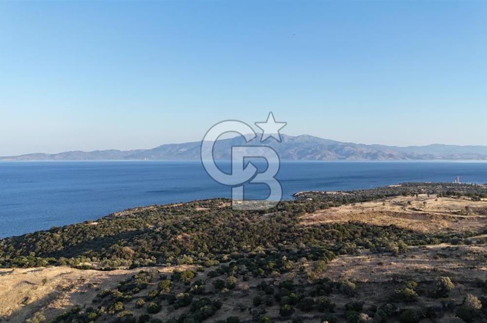 ASSOS'UN İNCİSİ BEKTAŞTA 3 TAPU TEK FİYAT AÇIKLAMAYI OKUYUNUZ !!