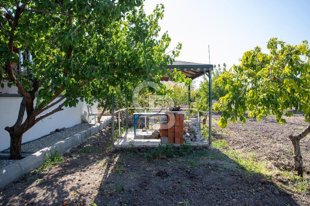 Helvacı Foça-İzmir Karayolu Üzeri Satılık Tarla ve Bağ Evi