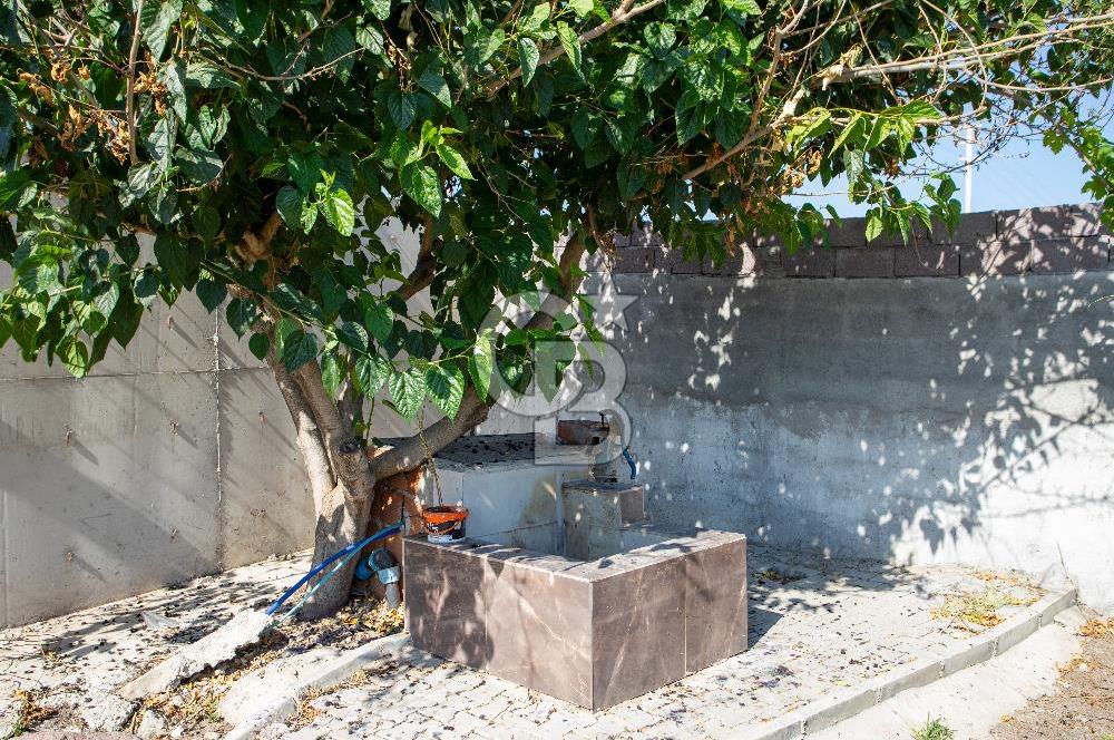 Helvacı Foça-İzmir Karayolu Üzeri Satılık Tarla ve Bağ Evi