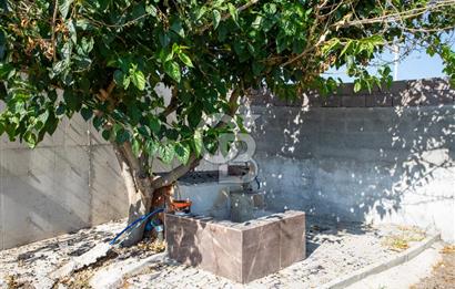 Helvacı Foça-İzmir Karayolu Üzeri Satılık Tarla ve Bağ Evi