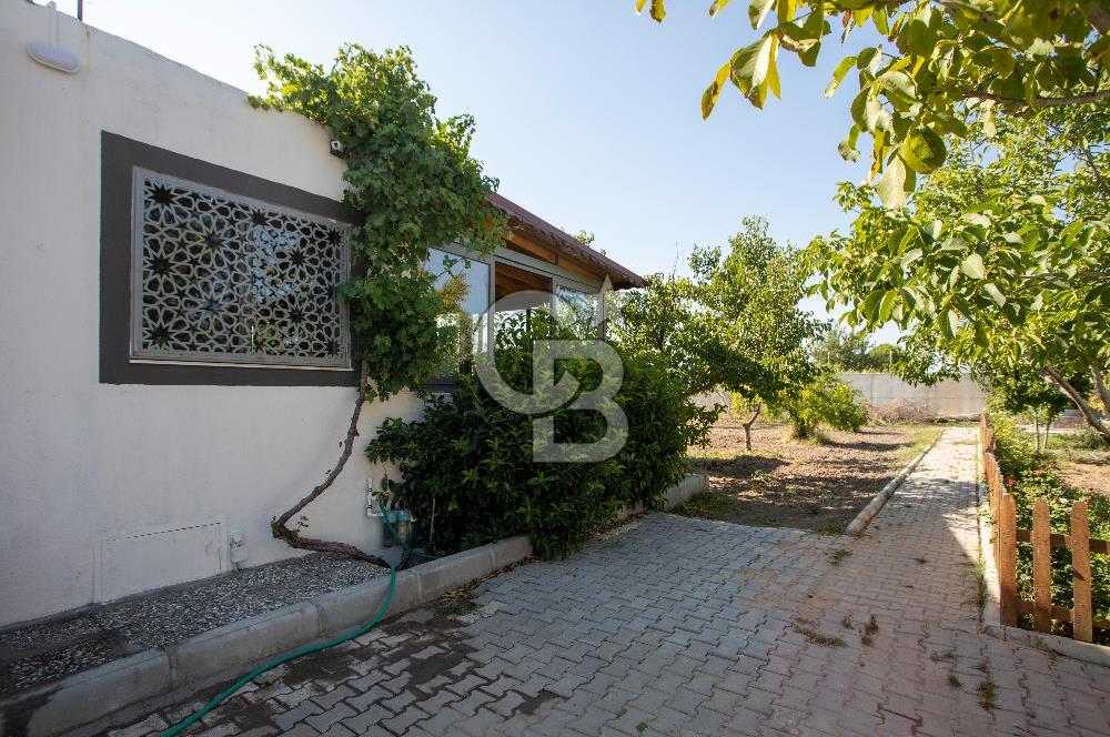 Helvacı Foça-İzmir Karayolu Üzeri Satılık Tarla ve Bağ Evi
