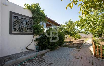 Helvacı Foça-İzmir Karayolu Üzeri Satılık Tarla ve Bağ Evi