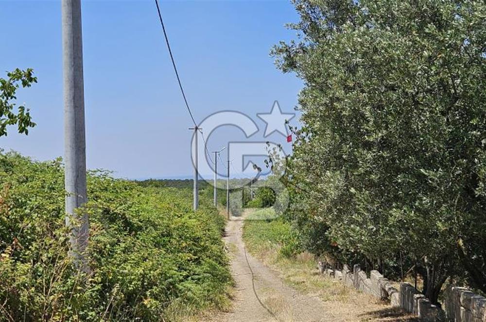 YALOVA ALTINOVA KAYTAZDEREDE FULL DENİZ MANZARALI SATILIK TARLA!