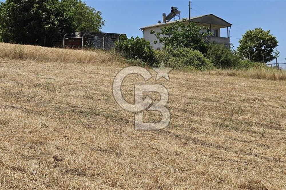 YALOVA ALTINOVA KAYTAZDEREDE FULL DENİZ MANZARALI SATILIK TARLA!