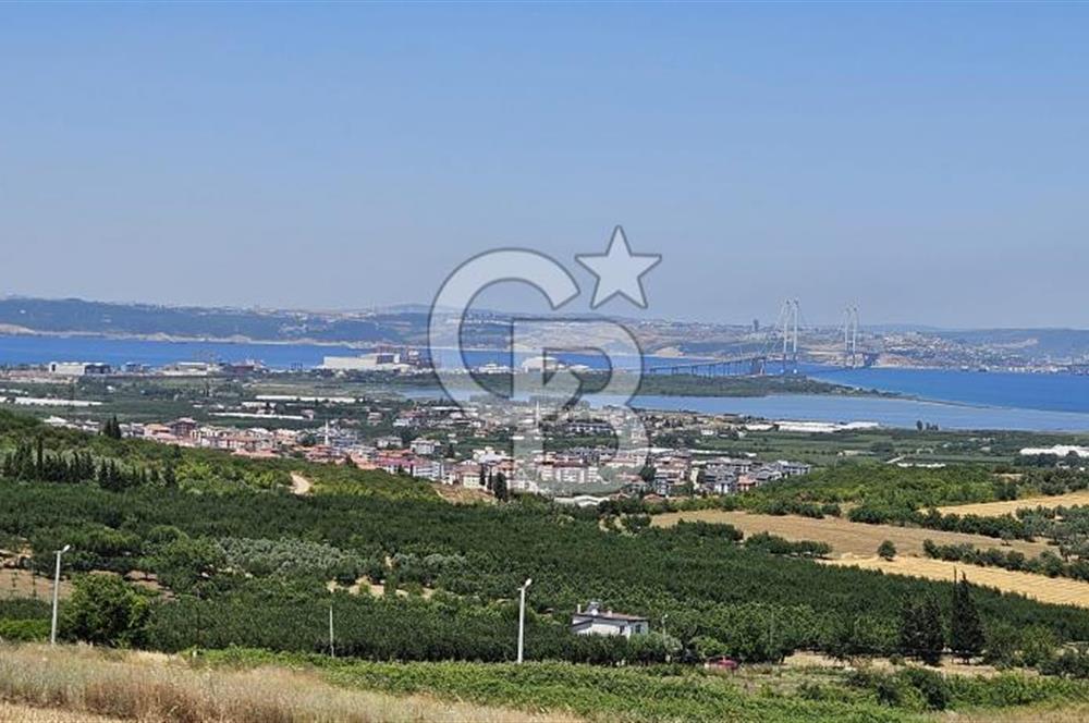 YALOVA ALTINOVA KAYTAZDEREDE FULL DENİZ MANZARALI SATILIK TARLA!