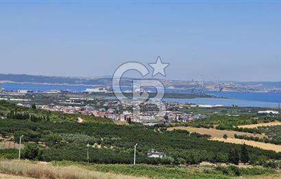 YALOVA ALTINOVA KAYTAZDEREDE FULL DENİZ MANZARALI SATILIK TARLA!