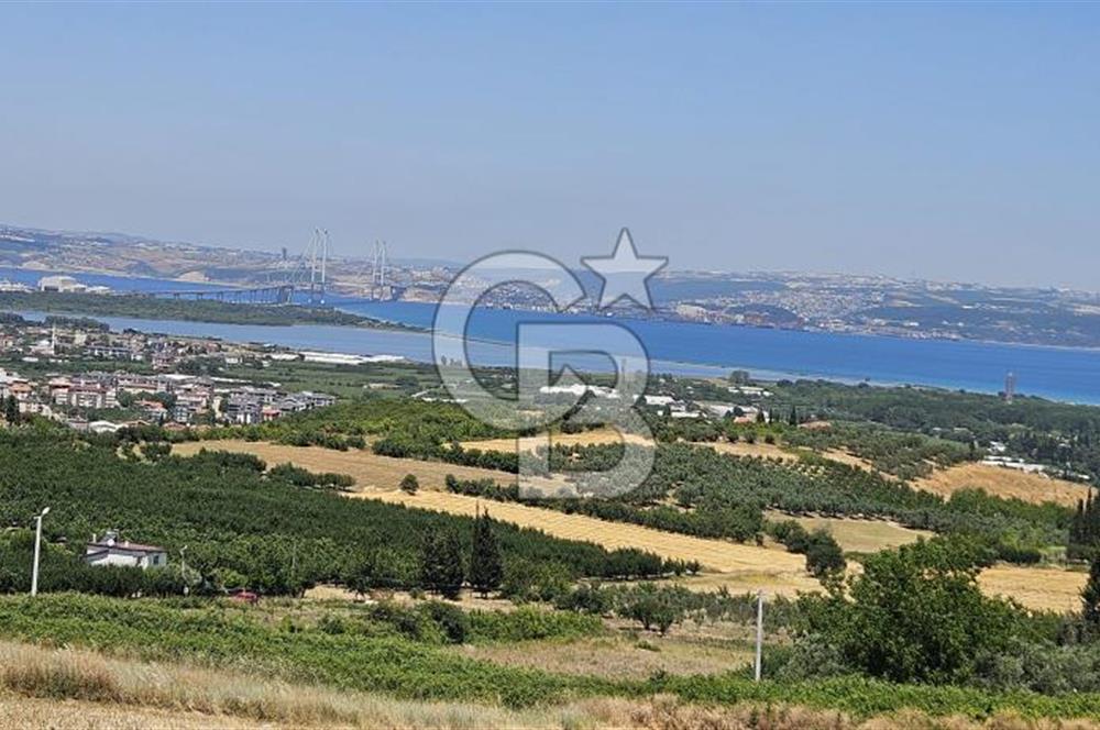YALOVA ALTINOVA KAYTAZDEREDE FULL DENİZ MANZARALI SATILIK TARLA!