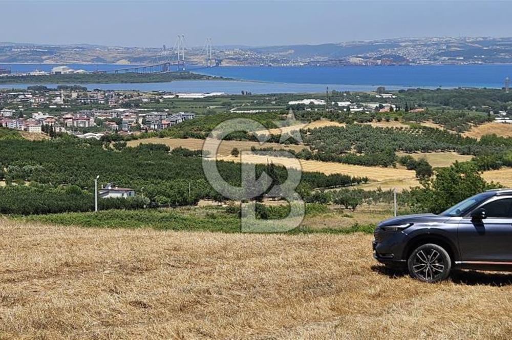YALOVA ALTINOVA KAYTAZDEREDE FULL DENİZ MANZARALI SATILIK TARLA!
