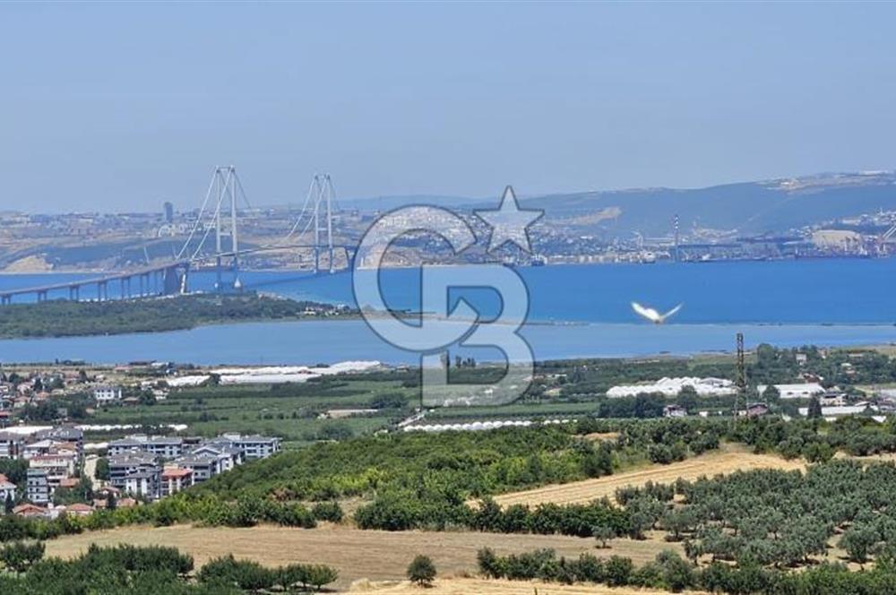 YALOVA ALTINOVA KAYTAZDEREDE FULL DENİZ MANZARALI SATILIK TARLA!
