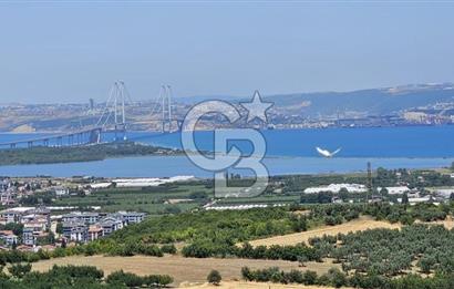 YALOVA ALTINOVA KAYTAZDEREDE FULL DENİZ MANZARALI SATILIK TARLA!