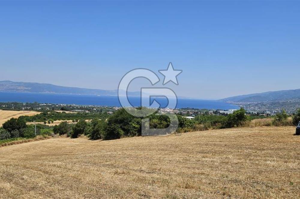 YALOVA ALTINOVA KAYTAZDEREDE FULL DENİZ MANZARALI SATILIK TARLA!