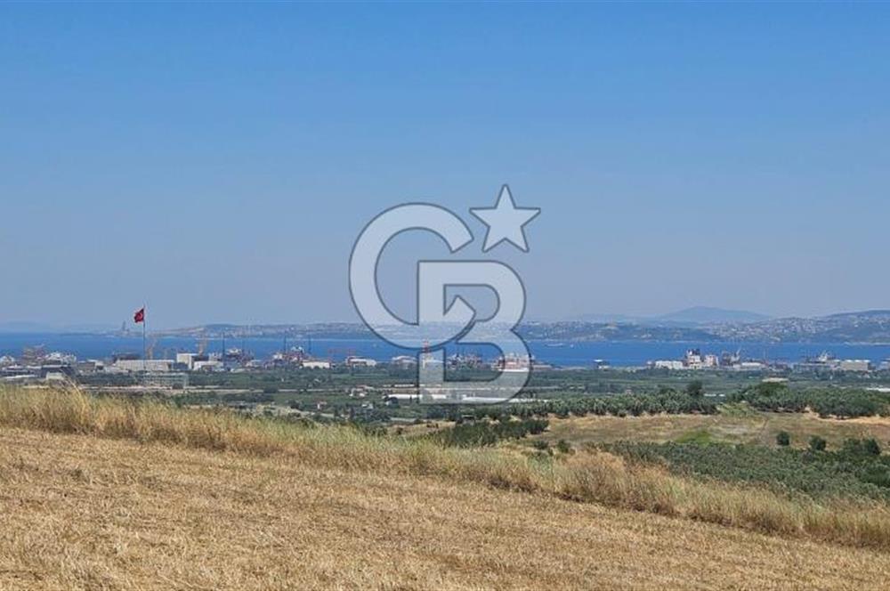 YALOVA ALTINOVA KAYTAZDEREDE FULL DENİZ MANZARALI SATILIK TARLA!
