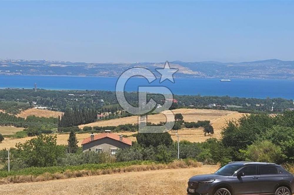 YALOVA ALTINOVA KAYTAZDEREDE FULL DENİZ MANZARALI SATILIK TARLA!