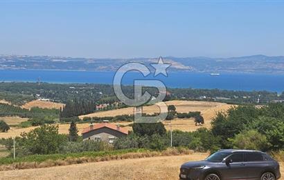 YALOVA ALTINOVA KAYTAZDEREDE FULL DENİZ MANZARALI SATILIK TARLA!