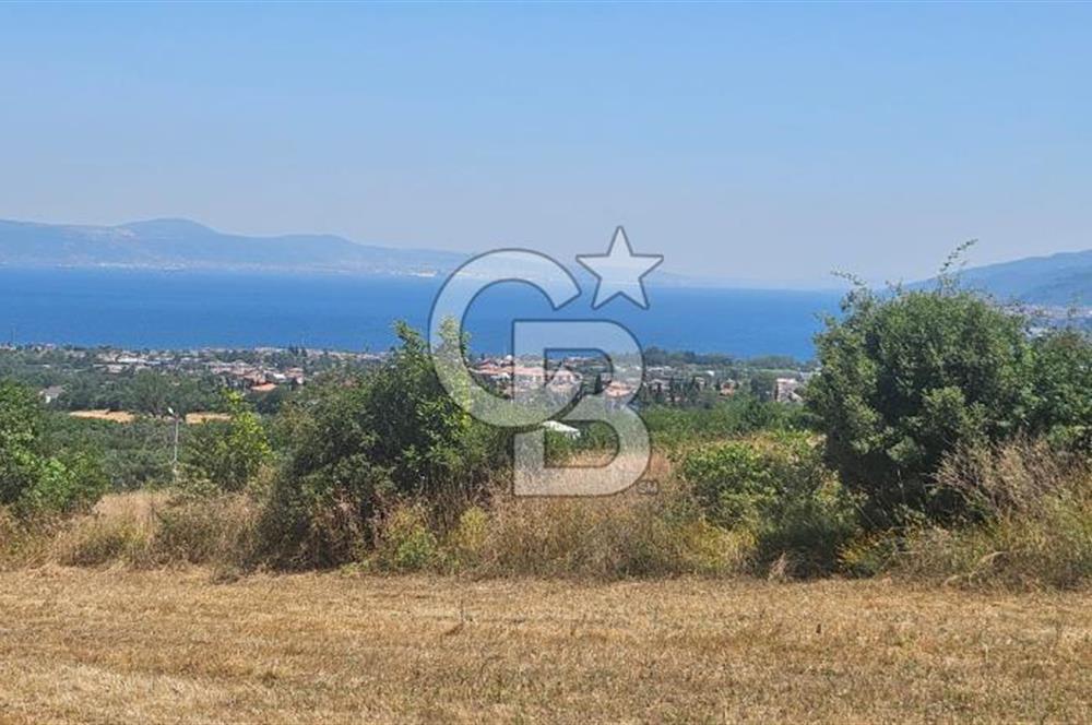 YALOVA ALTINOVA KAYTAZDEREDE FULL DENİZ MANZARALI SATILIK TARLA!