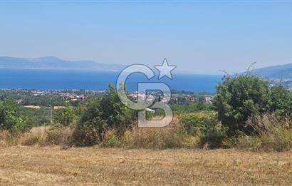 YALOVA ALTINOVA KAYTAZDEREDE FULL DENİZ MANZARALI SATILIK TARLA!