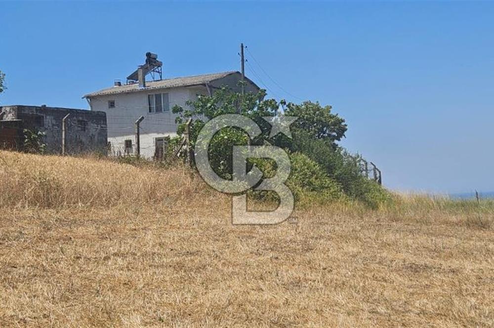 YALOVA ALTINOVA KAYTAZDEREDE FULL DENİZ MANZARALI SATILIK TARLA!