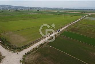 Biga Çavuşköy Satılık tarla 5014 m2
