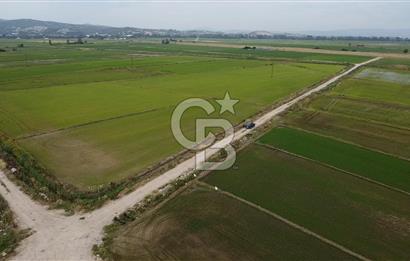 Biga Çavuşköy Satılık tarla 5014 m2
