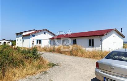 YALOVA ALTINOVA KAYTAZDERE DE DENİZ MANZARALI Müstakil Çiftlik