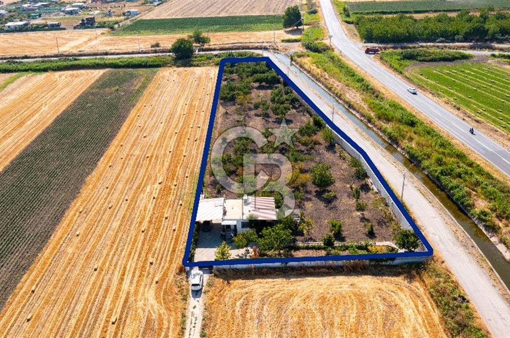 Helvacı Foça-İzmir Karayolu Üzeri Satılık Tarla ve Bağ Evi