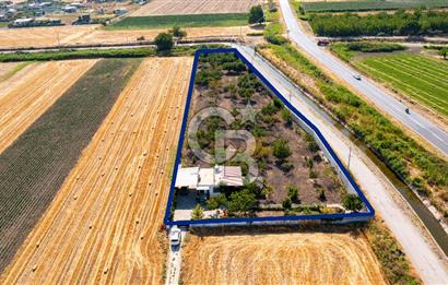 Helvacı Foça-İzmir Karayolu Üzeri Satılık Tarla ve Bağ Evi