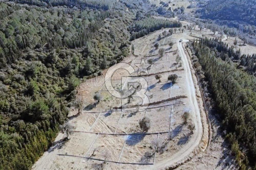 SEFERİHİSARDA 225 M2 DOĞA İÇERİSİNDE YATIRIMLIK PARSEL
