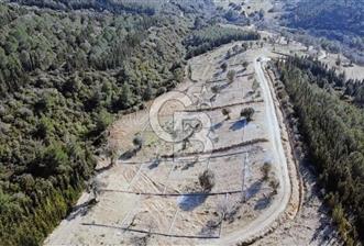 SEFERİHİSARDA 225 M2 DOĞA İÇERİSİNDE YATIRIMLIK PARSEL