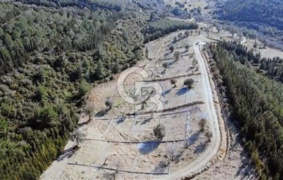 SEFERİHİSARDA 225 M2 DOĞA İÇERİSİNDE YATIRIMLIK PARSEL