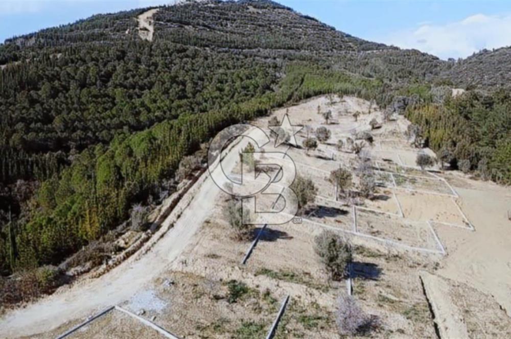 SEFERİHİSARDA 225 M2 DOĞA İÇERİSİNDE YATIRIMLIK PARSEL