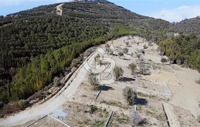 SEFERİHİSARDA 225 M2 DOĞA İÇERİSİNDE YATIRIMLIK PARSEL