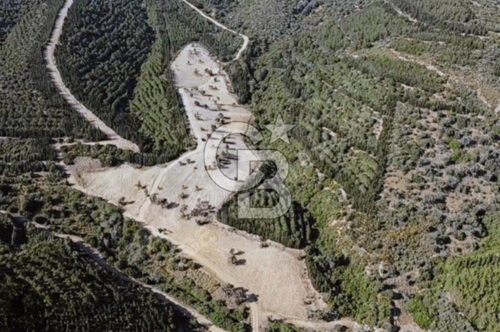 SEFERİHİSARDA 225 M2 DOĞA İÇERİSİNDE YATIRIMLIK PARSEL