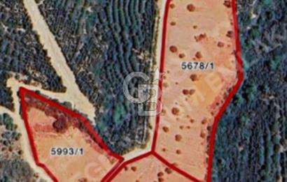 SEFERİHİSARDA 225 M2 DOĞA İÇERİSİNDE YATIRIMLIK PARSEL