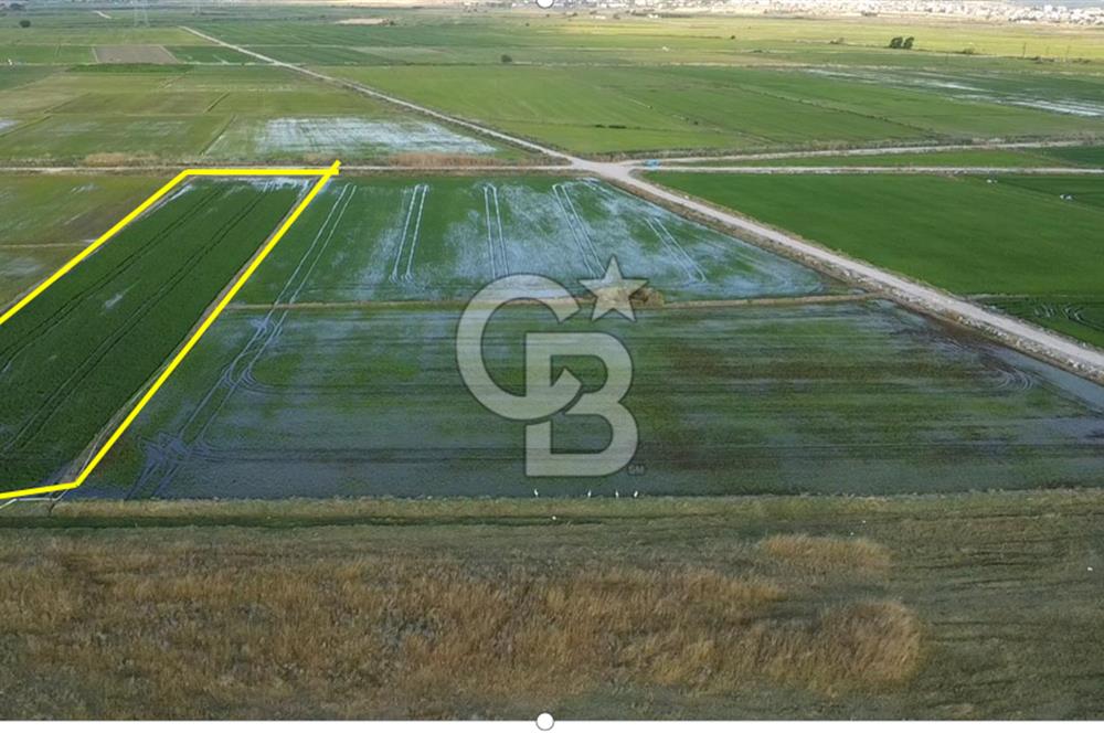 Biga Çavuşköy Satılık tarla 5014 m2