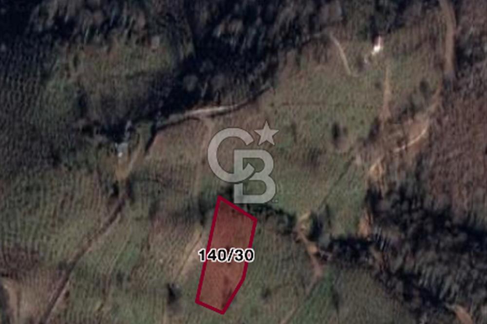 Sakarya Karapürçek Ahmediye de Satılık 2541m2 Fındıklık