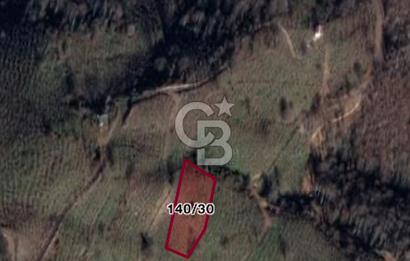 Sakarya Karapürçek Ahmediye de Satılık 2541m2 Fındıklık