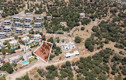 Bodrum Ortakent'te Deniz Manzaralı Köşe Arsa