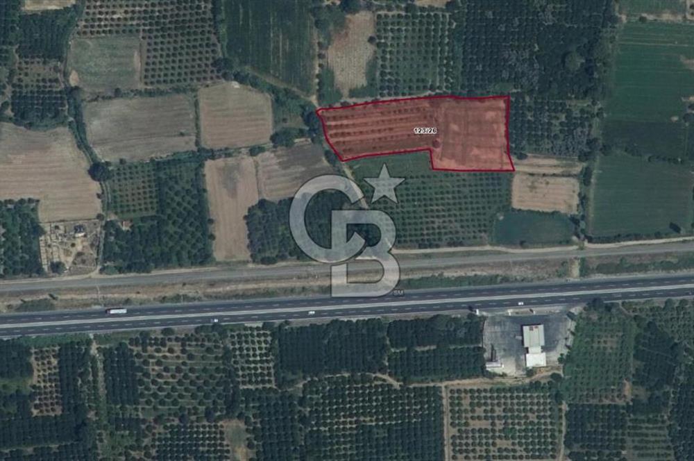 NAZİLLİ SOĞUKKUYU’DA SATILIK 3.550 m² VERİMLİ TARLA