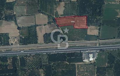 NAZİLLİ SOĞUKKUYU’DA SATILIK 3.550 m² VERİMLİ TARLA
